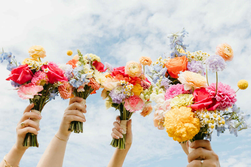 Four hands holding colorful wedding bridal flower bouquets against a blue sky in Moncton new brunswick Made by local wedding vendor Primavera Floral studio.